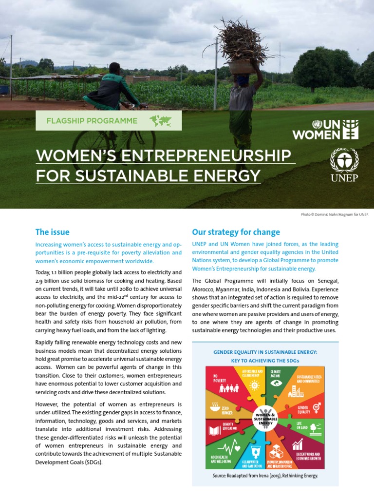 Women S Entrepreneurship For Sustainable Energy | PDF | Sustainable ...