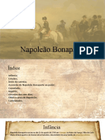 Napoleão: ascensão e queda do imperador