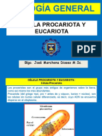 Célula Procariota y Eucariota