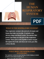 The Respiratory