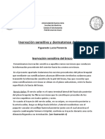 Inervación Sensitiva Del Brazo y Deratoma