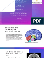 ACTIVIDAD - 2 Neuropsicologia
