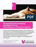 Cat Carer Guide - Acute Pain