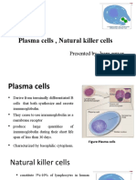 Plasma Cells, Natural Killer Cells