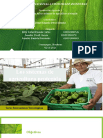 Agricultura Protegida