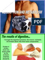 The digestive process: How nutrients are broken down and absorbed