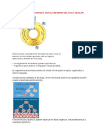 Temas Biología para Examen