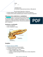 Fisiologia - Pâncreas