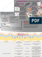 Glandulas Endocrinas y Sus Hormonas