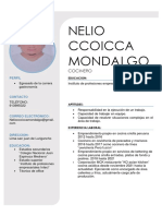 CV Nelio Ccoicca