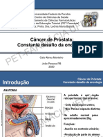 Câncer de Próstata: desafio constante da oncologia