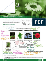 Botânica - Introdução À Botânica-D4452e3452a00099