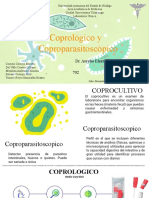 Laboratorio Coprologico