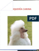 Peluqueria Canina