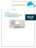 Animales marinos: clasificación y características