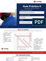 Guía Ii - Geografía PDF