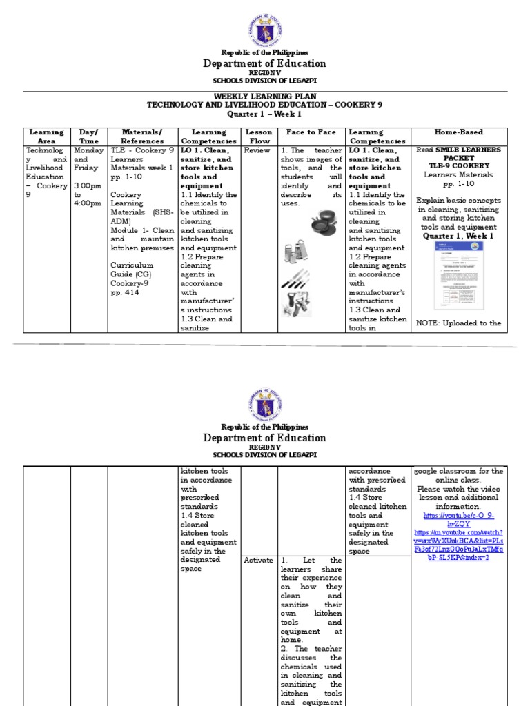 Raise Plus sample plan PDF Learning Behavior Modification