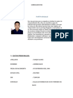 Curriculum Vitae Andree