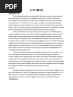 Download Makalah Koperasi BUMN dll by anak baru belajar hukum SN62193712 doc pdf