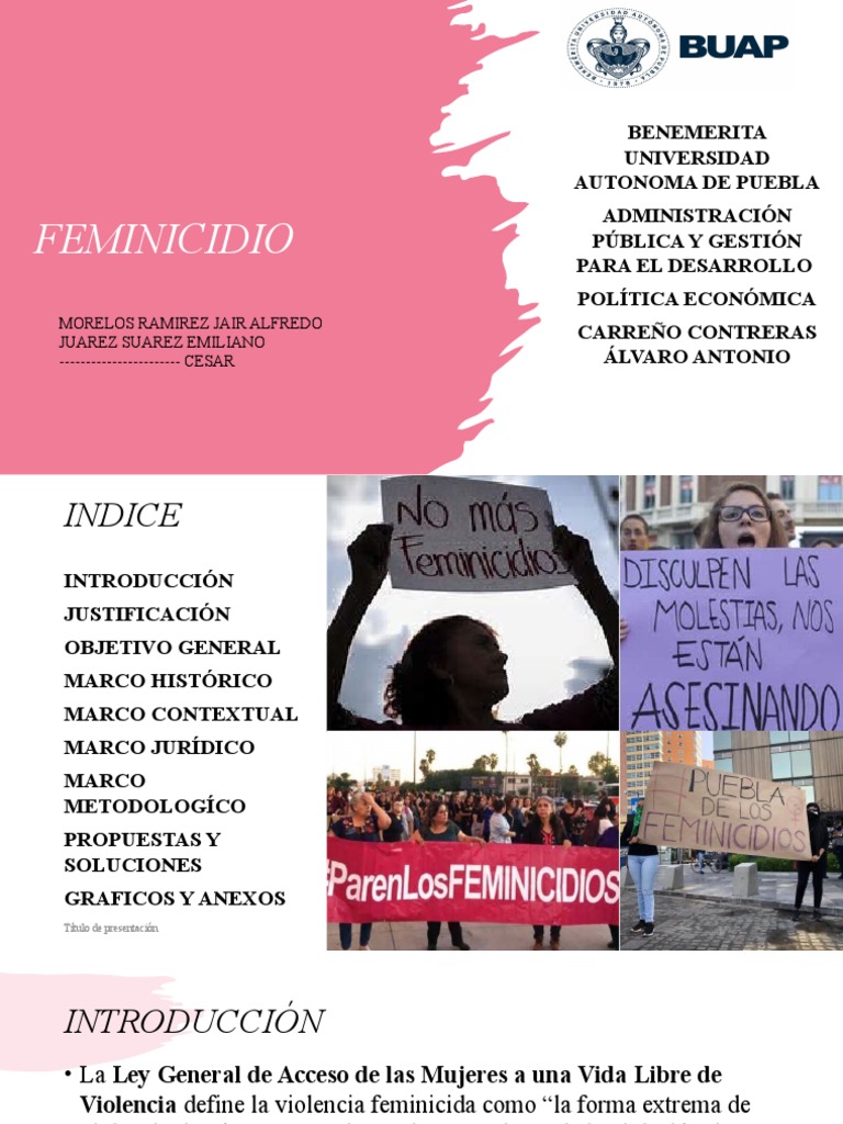 Análisis del Feminicidio en México | PDF | La violencia contra las ...