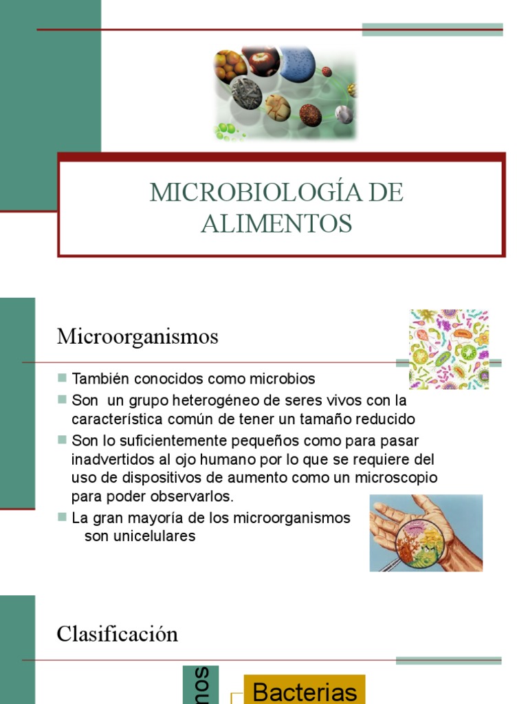 H 2.1 Microbiología de Los Alimentos (Actualizado) | PDF | Levadura ...