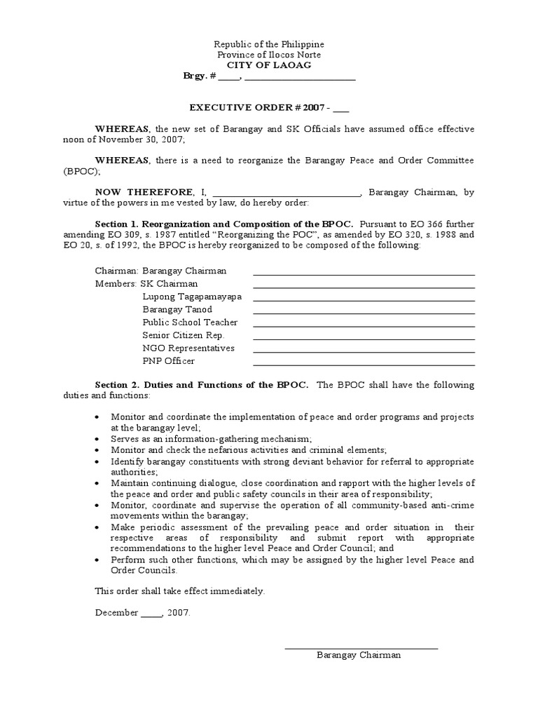 EO Reorganizing Brgy Committees | PDF | Child Protection | Social ...