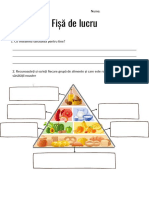 Brown Food Chain Worksheet