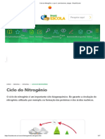 Ciclo Do Nitrogênio - o Que É, Com Funciona, Etapas - Brasil Escola