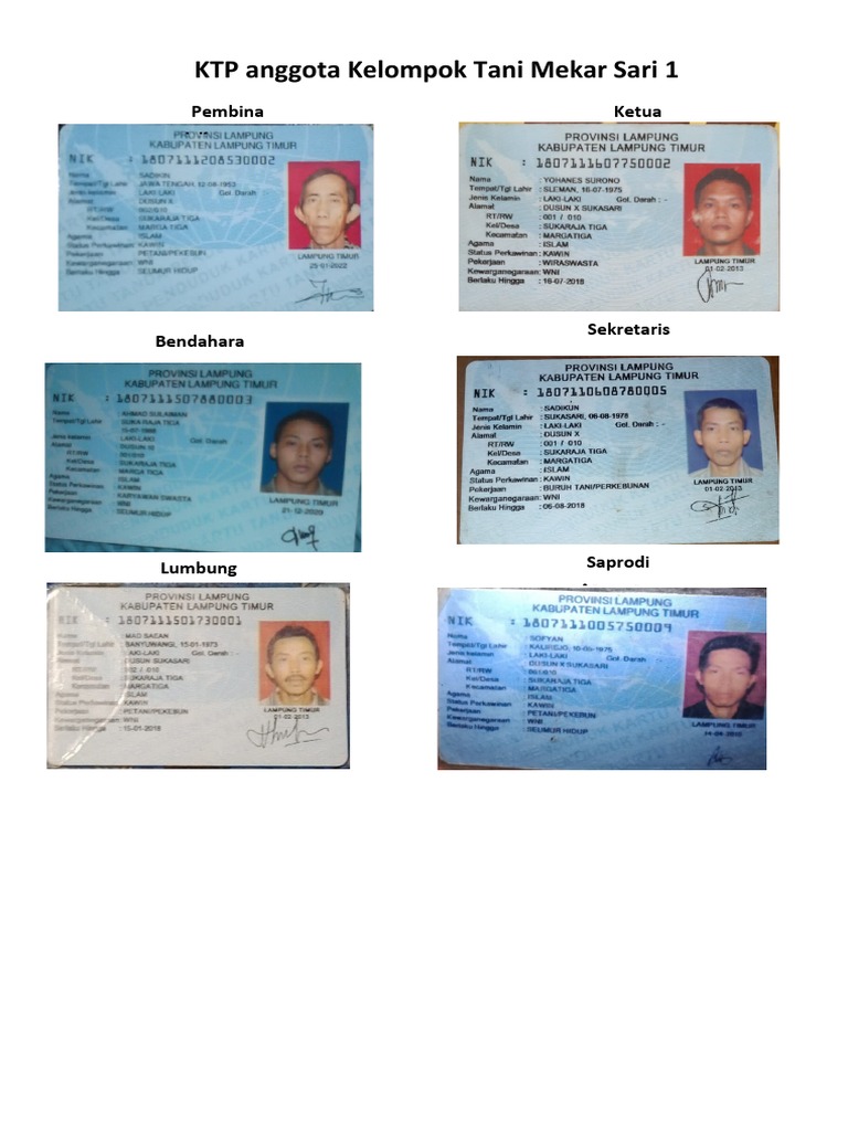 KTP Anggota Kelompok Tani Mekar Sari | PDF | Kesehatan Holistik
