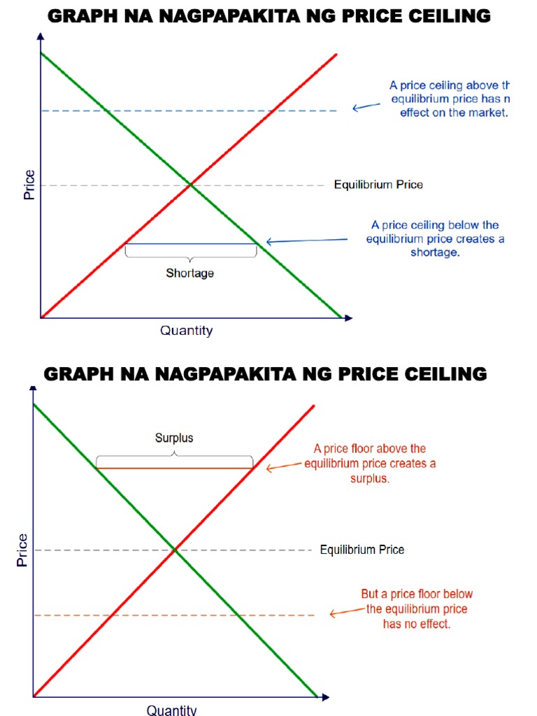 Graph NG Price Ceiling and Floor PDF