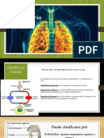 Aparato Respiratorio