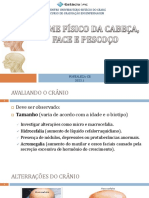 Aula 02 - Exame Da Cabeça, Face e Pescoço