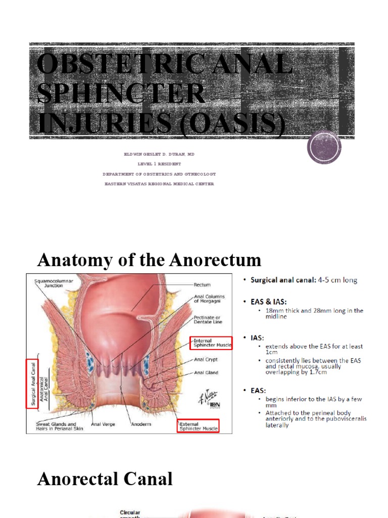 What Causes Ruptured Anal Sphincter? – OAXR