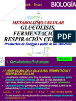 05 Glucólisis Fermentación y Respiración Celular