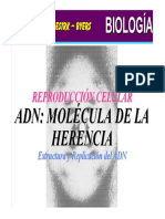 01 ADN MOLÉCULA DE LA HERENCIA - Estructura y Replicación Del ADN