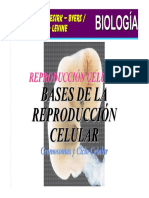 03 BASES DE LA REPRODUCCIÓN CELULAR - Cromosomas y Ciclo Celular