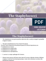Gram-Positive Cocci Staphylococci Morphology Identification Diseases
