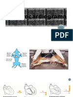 Electrocardiograma