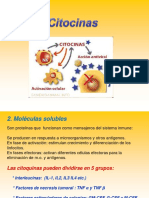 Citocinas: Mediadoras de la Respuesta Inmune