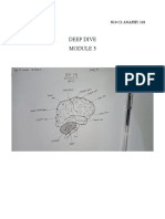 LIMCHIU_ANAPHY101 DEEP DIVE MODULE3