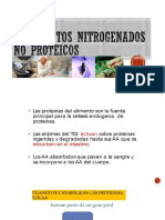 3-Compuestos Nitrogenados No Proteicos