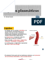 4-Lípidos Plasmáticos