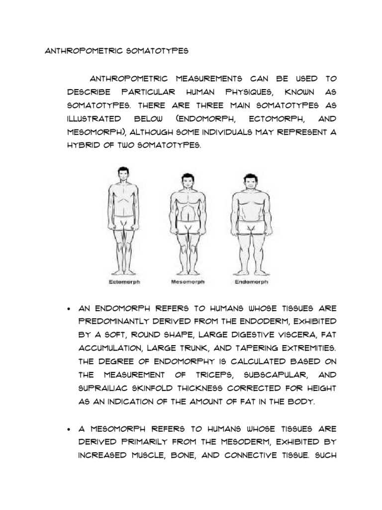 Anthropometric Somatotypes Pdf