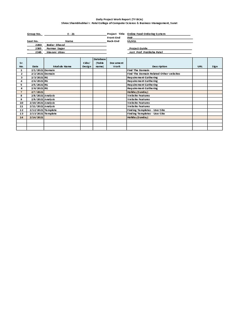 daily-work-report-example-pdf