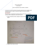 Hoja de Trabajo Biologia