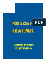 Profilaxia Da Raiva