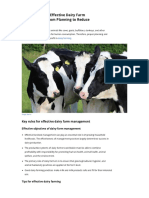 19 Key Rules For Effective Dairy Farm Management - From Planning