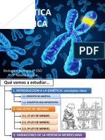 Gen Tica CL Sica