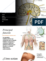 Trabajo de Biología