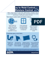 Mold Infographic